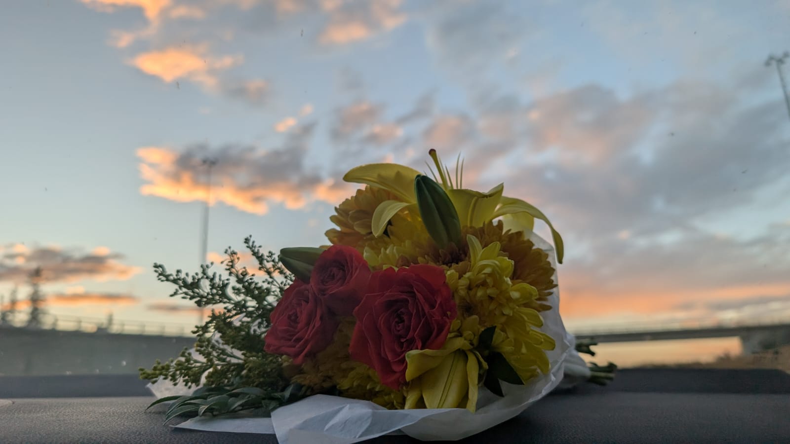 Back From Bulgaria memory