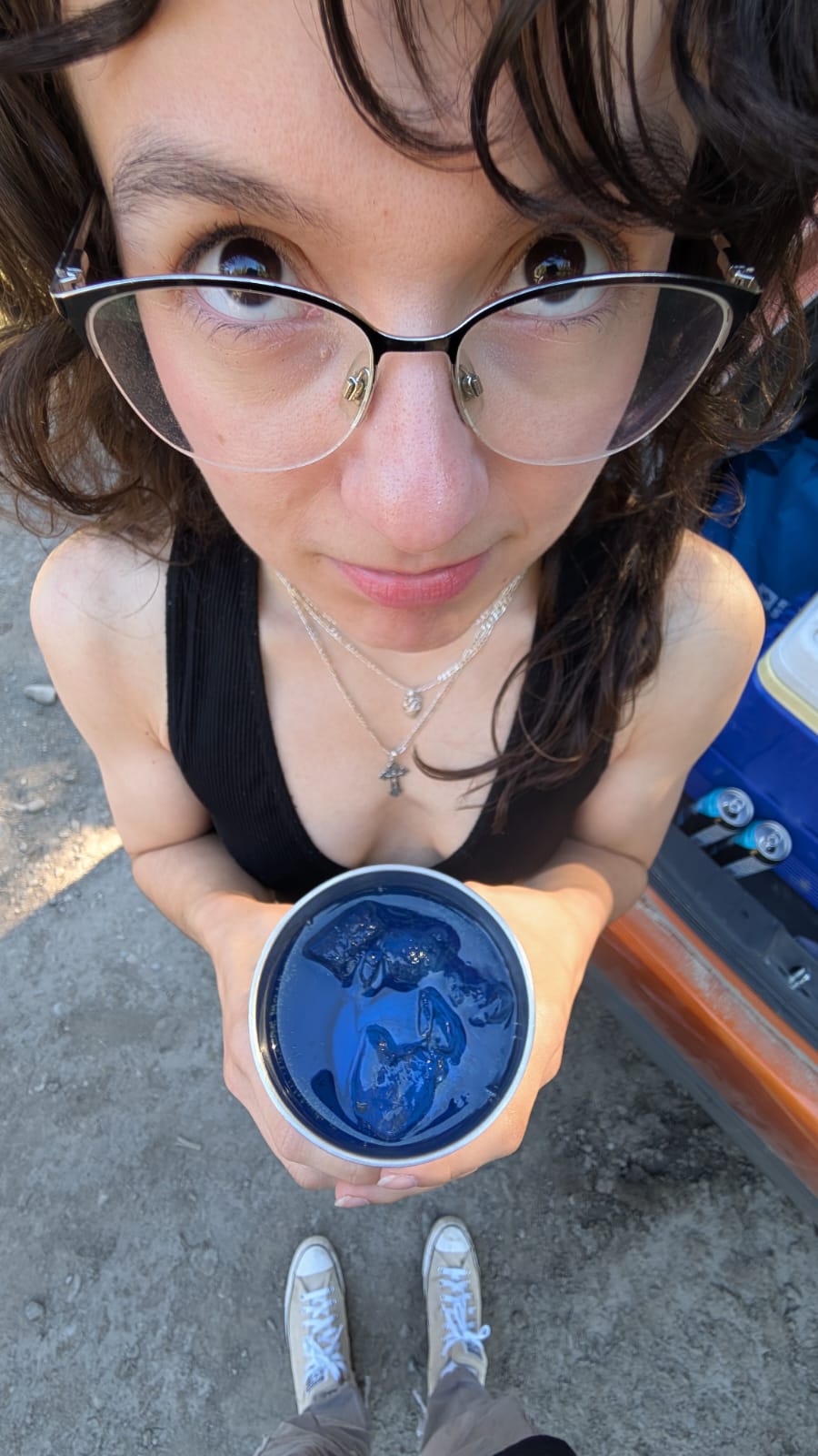 Xavier's Camping Party memory